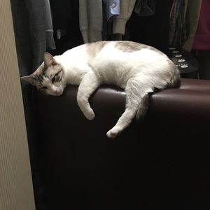 Meet your Posher, Joni